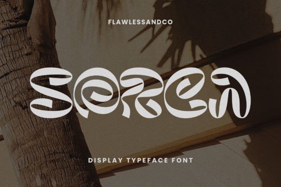 Sorca Font Review: Elevating Campaign Visuals